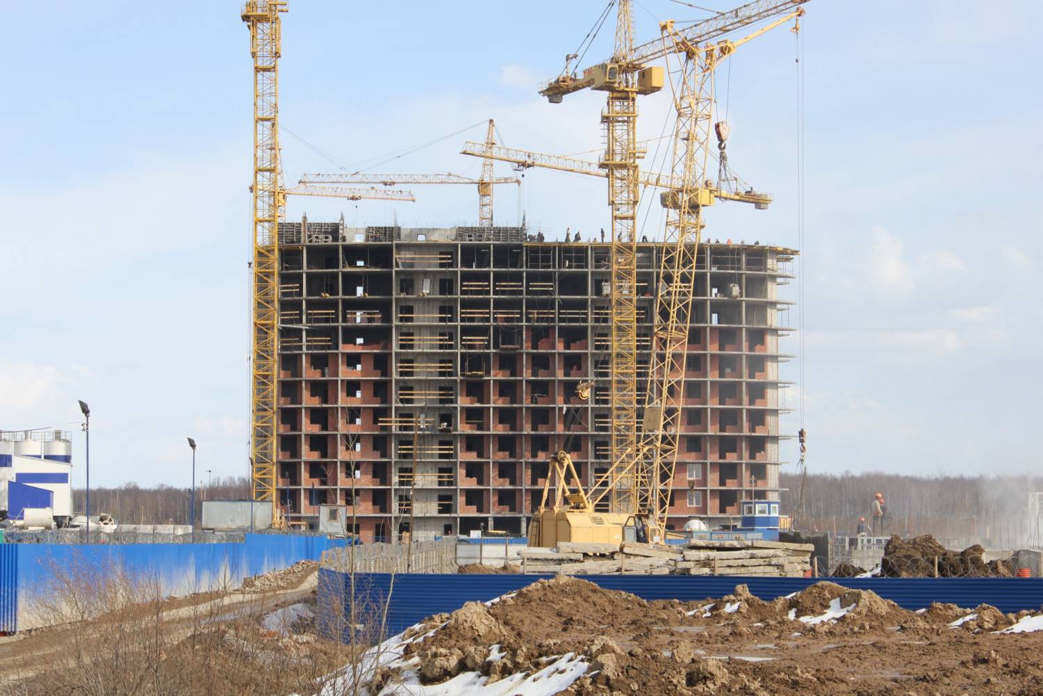 Мега трейдинг ооо