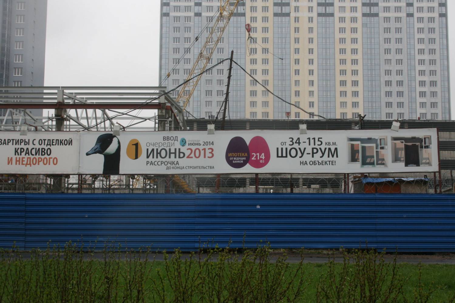Ооо сан трейдинг