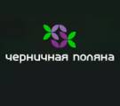 Поляна трейдинг