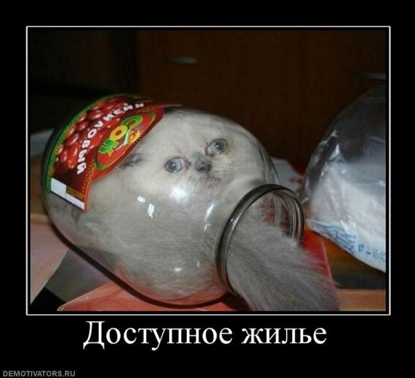 Источник: demotivators.ru