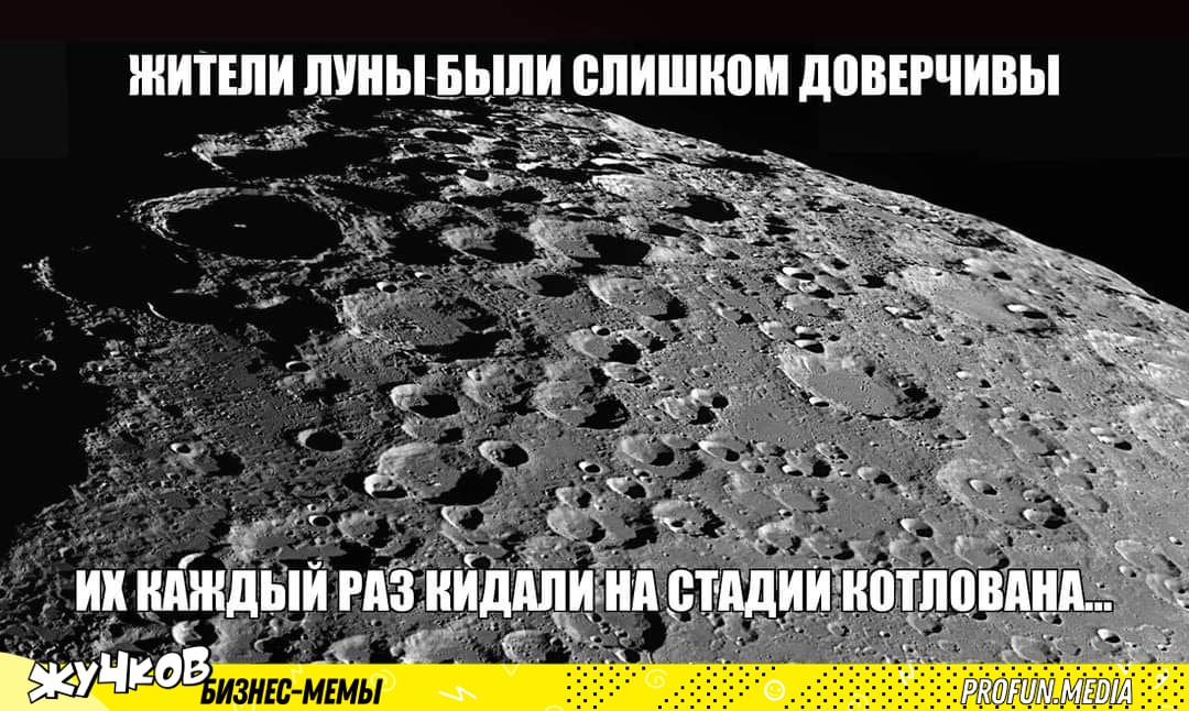 Источник: t.me/zhuchkovofficial