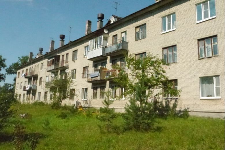 На фото - дом в деревне Борисова Грива. Источник: avito.ru