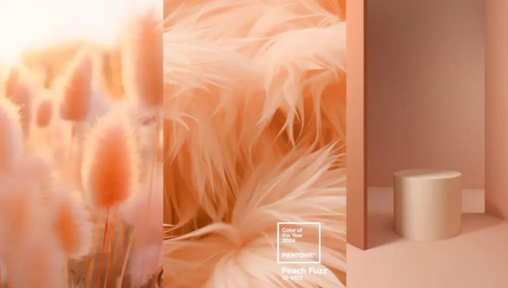 Подборка цветовой палитры с Peach Fuzz с Pinterest